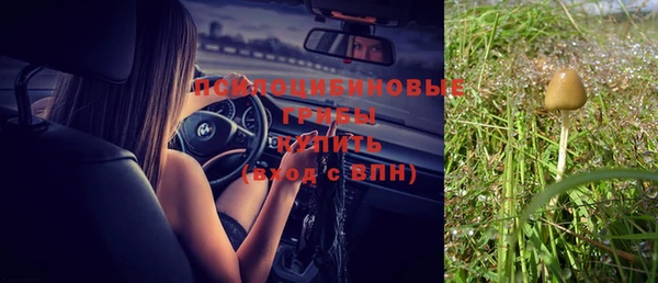 mix Верея