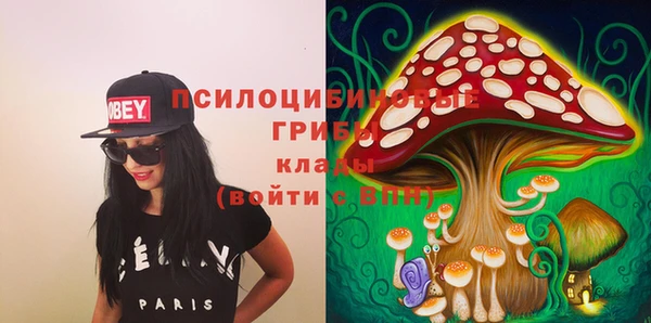 ПСИЛОЦИБИНОВЫЕ ГРИБЫ Верхнеуральск