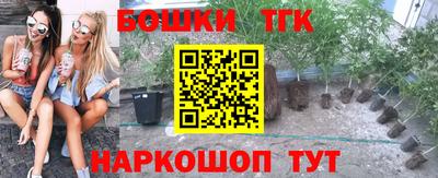 трава Аргун