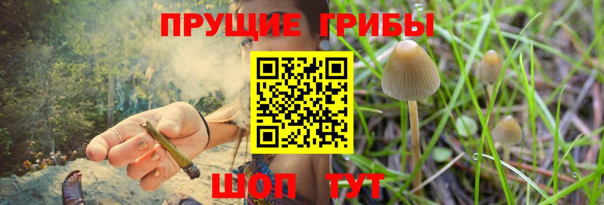 Псилоцибиновые грибы Magic Shrooms Ивантеевка